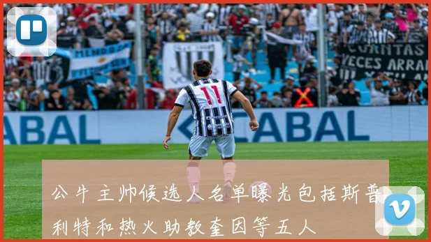 公牛主帅候选人名单曝光包括斯普利特和热火助教奎因等五人